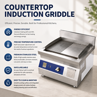 Plaque de cuisson électrique à induction commerciale en acier inoxydable 304 haute efficacité 5000W