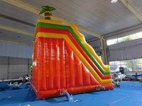 Château gonflable commercial à thème lion avec toboggan et mur d'escalade pour location de fêtes d'enfants