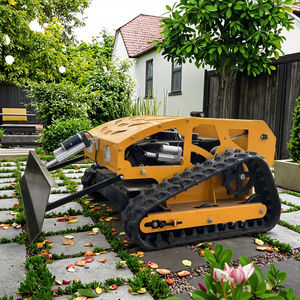 พลั่วตักหิมะแบบ4จังหวะสำหรับส่งหญ้าแตกต่ำ - Product Image 2