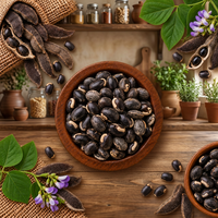 Haricots noirs séchés, légumineuses naturelles pour la cuisson, les ragoûts, la transformation alimentaire et la vente en gros