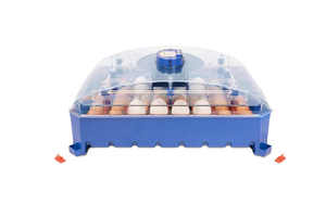 Incubadoras de huevos Borotto Lumia 56, uso doméstico automático, mejor capacidad de precio de 56 piezas, incubadora de huevos de 224 piezas para venta de huevos de faisán - Product Image 6