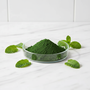 Pigmento Inorganico Ossido di Cromo Verde Cr2O3 in Polvere, Resistente alle Alte Temperature, Colorante per Ceramica e Lucidatura - Product Image 3