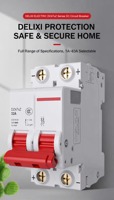 Disjoncteur miniature Delixi DZ47SZ DC250V 2P 6-63A, protection de circuit CC pour systèmes solaires et de stockage d'énergie par batterie