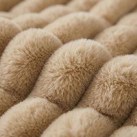 Plaid double couche en fourrure de lapin camel, texture gaufrée rayée, chaleur hivernale quatre saisons, luxe, doux, en polaire pelucheuse