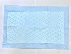 OEM ODM Produit jetable personnalisable pour animaux de compagnie Tissu tissé professionnel Coussinets de dressage pour chiots et chiens à haute absorption - Product Image 4