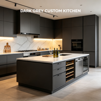 Solution complète pour la rénovation de la maison : armoires de cuisine modernes noires personnalisées avec éclairage LED haut de gamme