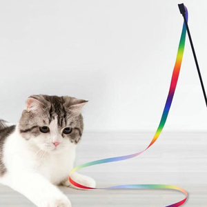 Großhandel: Heiß begehrter, farbenfroher Band-Charmer für Kätzchen – Interaktives Regenbogen-Katzenstab-Spielzeug mit Schnur - Product Image 3