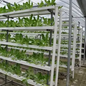 NFT hidroponik kanal büyüyen bitkiler çiçekler sebze meyve çilek PVC plastik boru fabrika üreticisi