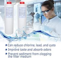 51300C Sistem Filter Air Seluruh Rumah Sterilisasi Suku Cadang Kulkas Pengganti Filter Air