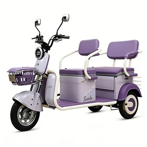 Triciclo con Suspensión Mejorada y Batería de Alta Potencia para un Transporte Eficiente - Product Image 2