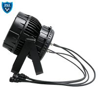 Projecteur PAR LED extérieur GBR-TL1941 19x10W IP65 avec zoom pour éclairage de scène et architectural