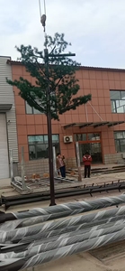 Tùy chỉnh <span class=keywords><strong>Bionic</strong></span> cây thông tin liên lạc tháp 10m, 20m, 30m, 40m Viễn Thông monopole thép cực - Product Image 6