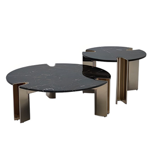 Visionnaire İtalyan ışık lüks Modern tasarım mermer sehpa paslanmaz çelik bacaklar oturma odası Set yuvarlak çay masası - Product Image 1