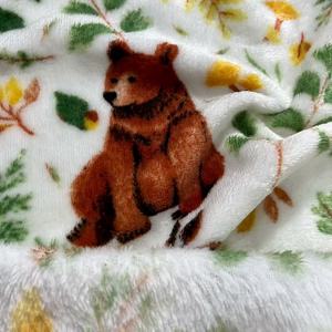Bán buôn tùy chỉnh dễ thương mô hình phim hoạt hình 200gsm mềm flannel Fleece vải cho quần áo trẻ em chăn - Product Image 5