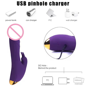 Vibromasseur Lapin Rose pour Femmes, 10 Fréquences, Rechargeable, Point G, Dildo, Masseur AV, Stimulation Adulte, Masturbateur Clitoridien - Product Image 1