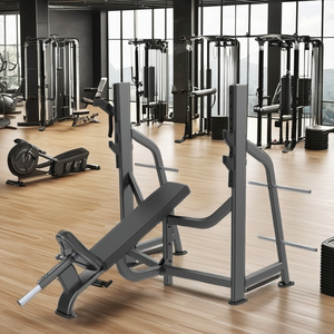 Gyms Use Upward Oblique Chest for <b>Strength</b> <b>Training</b> L-8042 Upward Chest Trainer L-8042 - Product Image 5