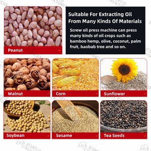 Pressa per <span class=keywords><strong>Olio</strong></span> Multifunzionale 220V per Noci/Rapa/Semi <span class=keywords><strong>di</strong></span> Cotone, Estrattore <span class=keywords><strong>di</strong></span> <span class=keywords><strong>Olio</strong></span> Adatto per Supermercati/Fattorie - Product Image 6