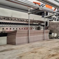 Máquina de corte cruzado de conteo de números con control de tensión de servomotor, cortador de hoja de pila automático de cinta transportadora a prueba de agua