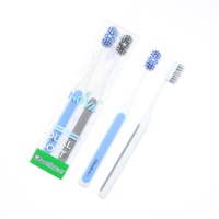 Outils de nettoyage dentaire pour adultes en gros, emballage en boîte en PVC, brosse à dents pour usage domestique, brosse à dents colorée en lot de 2