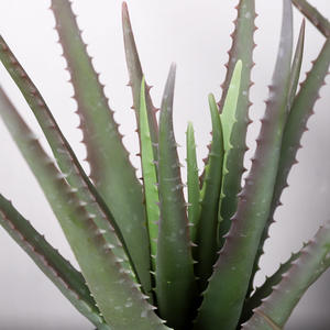 Bonsái Artificial de <span class=keywords><strong>Aloe</strong></span> <span class=keywords><strong>Vera</strong></span> para Decoración de Interiores, Resistente a los Rayos UV, Plantas de Jardín para Bodas, Navidad y Pascua - Product Image 5