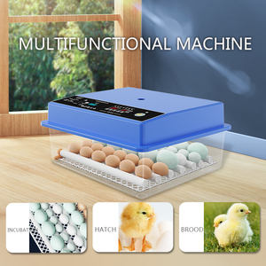 Vendita di prodotti a caldo 16-36 Mini <span class=keywords><strong>incubatrice</strong></span> automatica <span class=keywords><strong>per</strong></span> uova di tacchino di struzzo d'oca di pollo nuove attrezzature <span class=keywords><strong>per</strong></span> l'agricoltura - Product Image 3