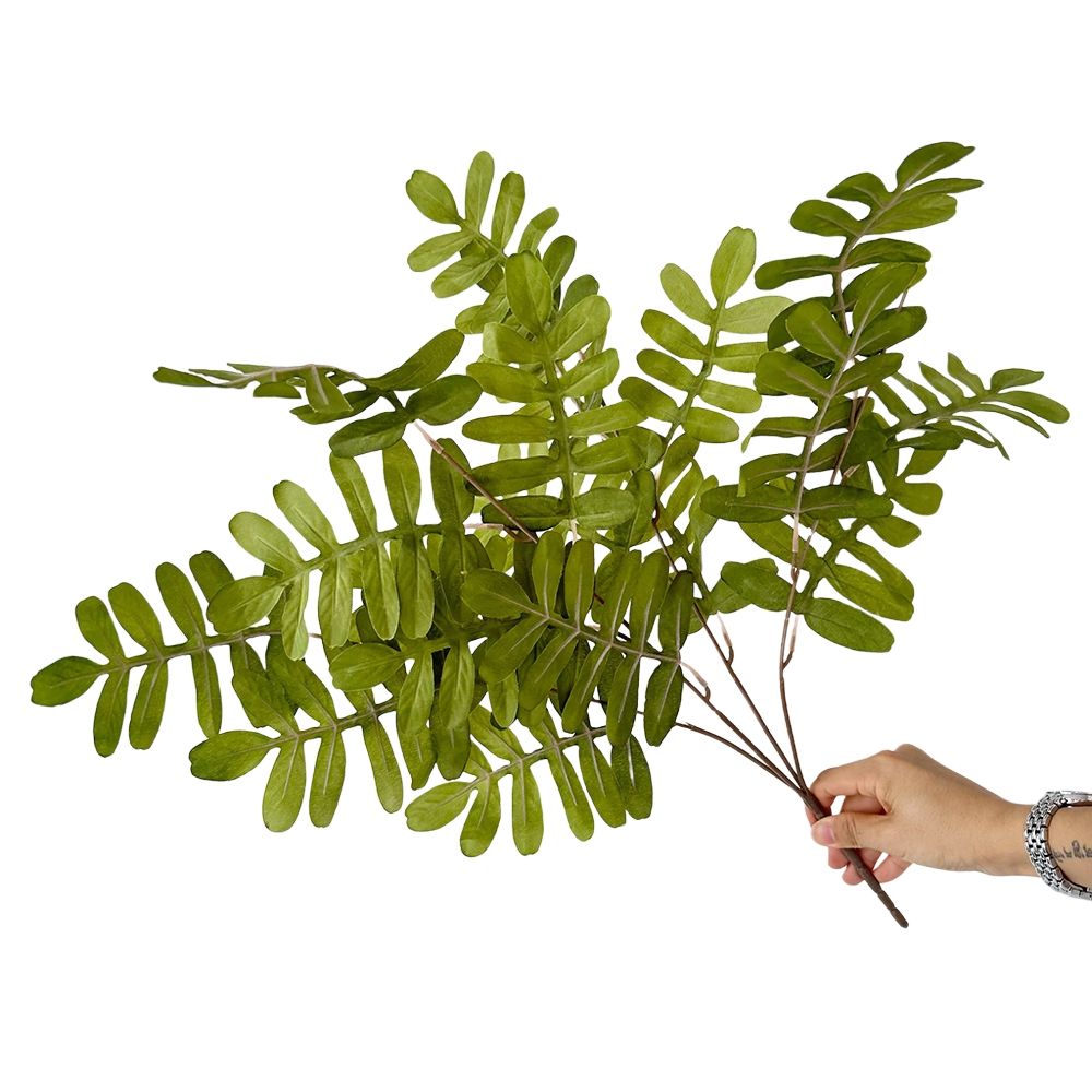 #4 20 new bunches cypress leaves green