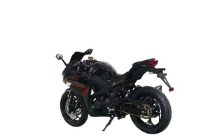 Motocicleta Apex Ride R3-250CC con Tanque de Combustible Práctico de 18L e Instrumento LCD Mecánico, Velocidad Máxima de >80 km/h para Viajes de Corta Distancia - Product Image 4