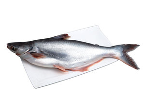 Việt Nam Bán Buôn Nhà Cung Cấp Đông Lạnh Cá Hải Sản Để Tàu Cán Cá Tra Fillet Từ Fillet Cũng Cắt - Product Image 5