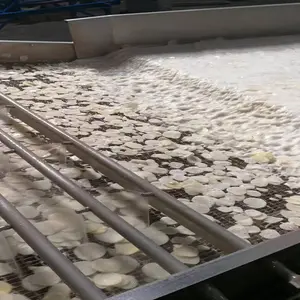 SK Potato Chips Making Machine Price Small Scale Fried Frozen French Fries Potato Chips Production Line