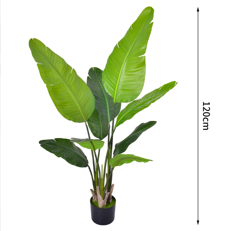 120cm