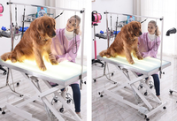 Table de toilettage élévatrice électrique professionnelle PetFit pour chiens avec lumière LED pour salon de toilettage d'animaux domestiques Table de toilettage pour grands chiens