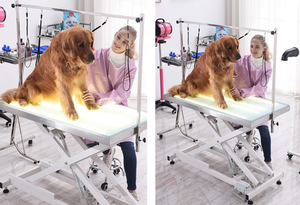PetFit profesyonel elektrikli kaldırma köpek bakım masası ile Pet bakım Salon için LED ışık büyük köpek için - Product Image 5
