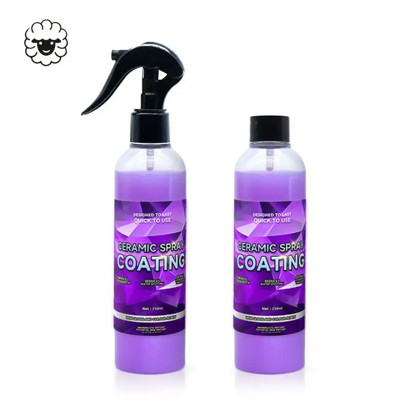 Productos de detalle automático de alto brillo de Grado Profesional, cera pulidora de coche, aerosol de recubrimiento nano cerámico