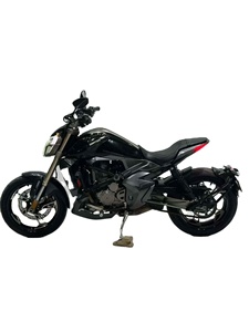 Motocicleta Cruiser <span class=keywords><strong>ZONTES</strong></span> <span class=keywords><strong>300</strong></span> de 310cc, Monocilíndrica, Refrigerada por Agua, con ABS, Pantalla TFT, Sin Llave, >180km/h, para Principiantes y Uso Diario - Product Image 4