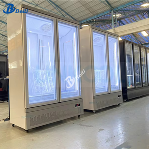 Exhibidor de Cerveza Refrigerado de Doble Puerta, Exhibidor de Pepsi y Coca-Cola - Product Image 6