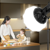 Lumière vidéo LED COB bicolore puissante de 500 W avec télécommande pour le cinéma, la diffusion en direct, la photographie en studio, la production vidéo