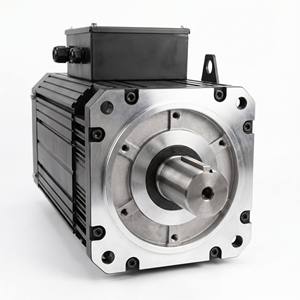 Motor servo síncrono de imanes permanentes refrigerado por aire de 110KW y 1000 RPM con fuerte sobrecarga (tipo de alto torque y fuerza constante) - Product Image 4