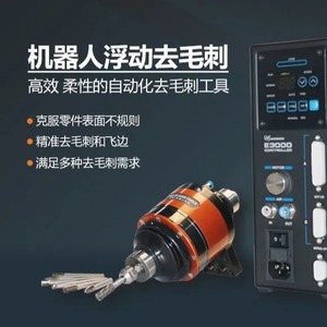 Robot de rectificado flotante Guide Pilot Deburring LT-FR030B-3030T-J con cambio automático de herramienta - Product Image 4