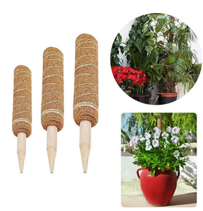 Plant Climbing Pole Coir Moss Stick Coir Moss Palm Vines Stick Plant Support Extension Climbing Indoor Plants Creepers