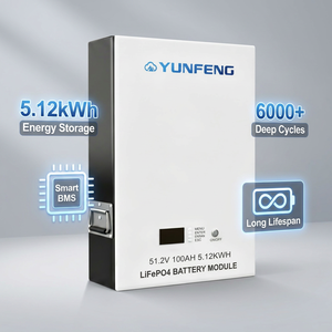 <span class=keywords><strong>Batterie</strong></span> de stockage d'énergie solaire domestique OEM 5 kWh LiFePO4 51,2 V 100 Ah IP54, <span class=keywords><strong>batterie</strong></span> lithium solaire pour système de stockage d'énergie solaire résidentiel - Product Image 4