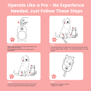 Kit Essencial para Gestão de Diabetes em Animais de Estimação com Baixo MOQ: Testador de Glicose no Sangue Reutilizável, Seguro, Confiável e Fácil de Usar para Cães - Product Image 4