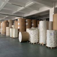 Rouleau de papier spécial enduit de PE imperméable, qualité alimentaire, pour tasses à café et à thé, usage alimentaire, directement de l'usine