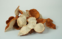 Kulit Jeruk Kering Chen Pi Guangdong untuk Bumbu dan Rasa Herbal Teh