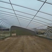 Vente en gros 500 m2 structure de culture de tomates unique tropicale intelligente grand tunnel de serre agricole en plastique pour potager