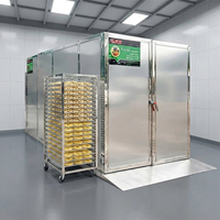 Hoogwaardige fruitdroogmachine voor bananen- en ananaschips