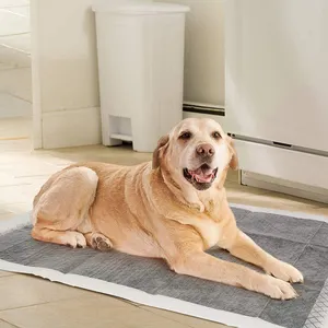 Almohadillas de entrenamiento para perros y cachorros, almohadillas desechables de carbón de bambú refinado, a prueba de fugas, Ultra absorbentes