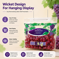 Sac à soufflet durable en PET/CPP de qualité alimentaire avec trou de poignée, emballage composite pour fruits (raisins)