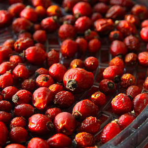 Yüksek kaliteli kuşburnu kurutulmuş meyve toplu tatlı tadı orijinal kaynağı toptan AD kurutma işlemi - Product Image 5