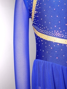 Girls Long Sleeve Dance Dresses With <b>Glitter</b> Print And Built-In Briefs For Stage Performance Recitals In Green Black Purple <b>Red</b> - Product Image 4
