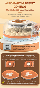 <span class=keywords><strong>2026</strong></span> नई प्रवृत्ति आई आई नियंत्रक 26 अंडे की हैचिंग मशीन 16 अंडे की कार इन्क्यूबेटर ब्रोडर स्वचालित चिकन अंडे इनक्यूबेटर - Product Image 4